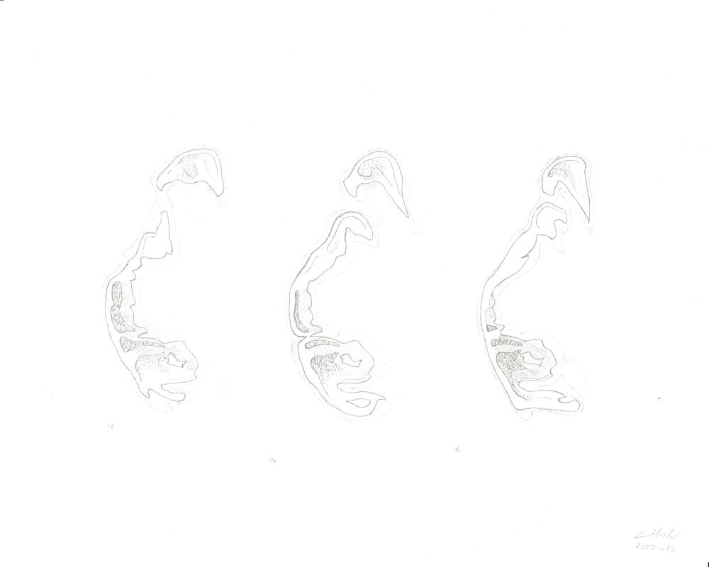 Wandernde Insel 15 A (12 bis 16) / Wandering island 15 A (12 to 16)