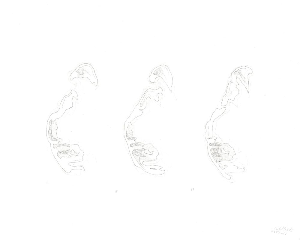 Wandernde Insel 15 A (13 bis 17) / Wandering island 15 A (13 to 17)