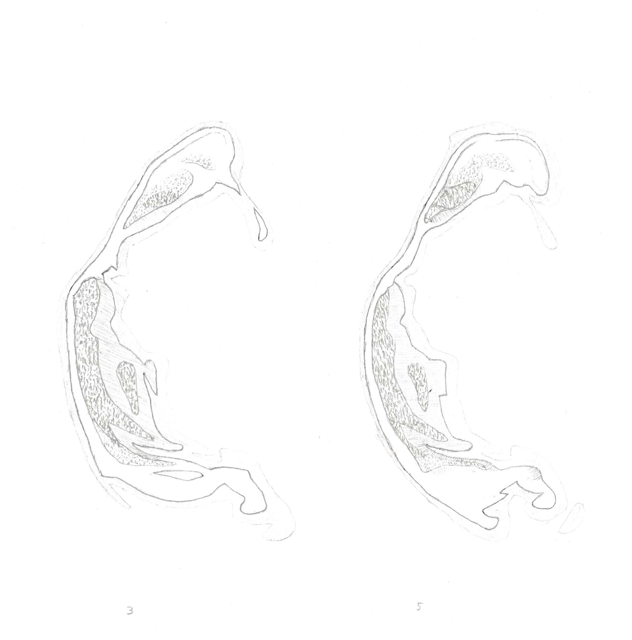 Wandernde Insel 15 A - B / Wandering island 15 A - B